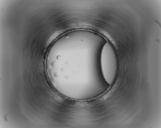 X0000096190978200801181004