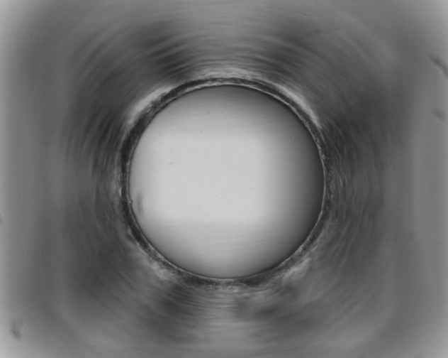 X0000096190979200801181004