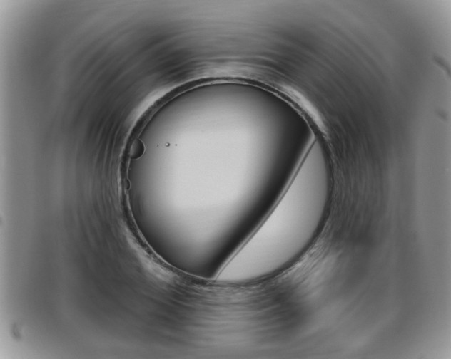 X0000096190980200801181004