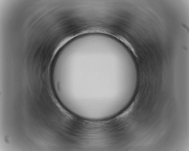 X0000096190981200801181004