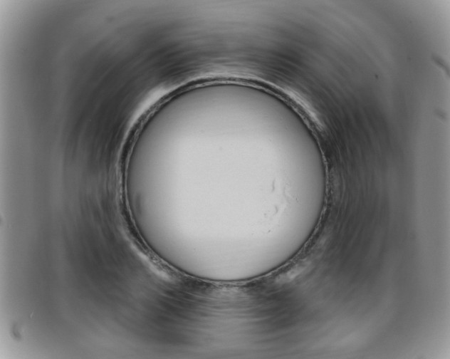 X0000096190982200801181004