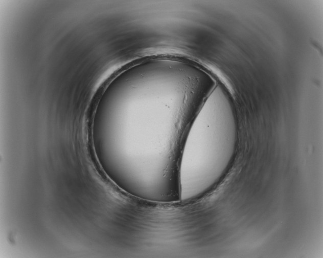 X0000096190983200801181004