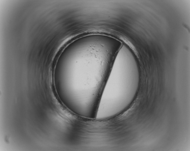 X0000096190984200801181004