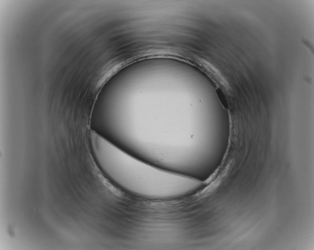 X0000096190985200801181004
