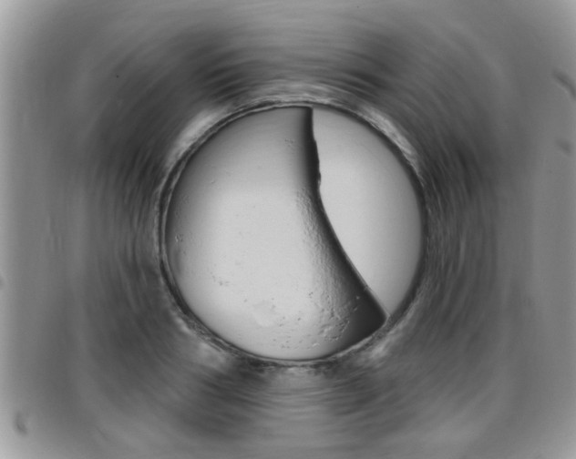 X0000096190986200801181004