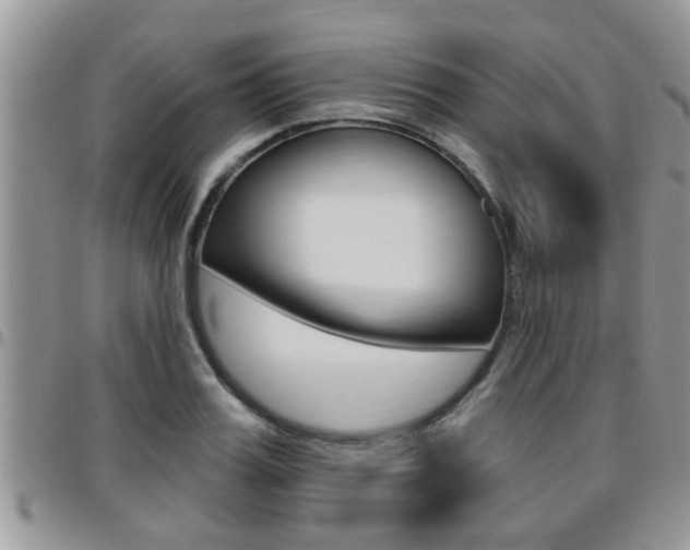 X0000096190987200801181004