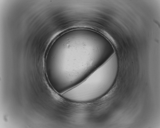 X0000096190988200801181004