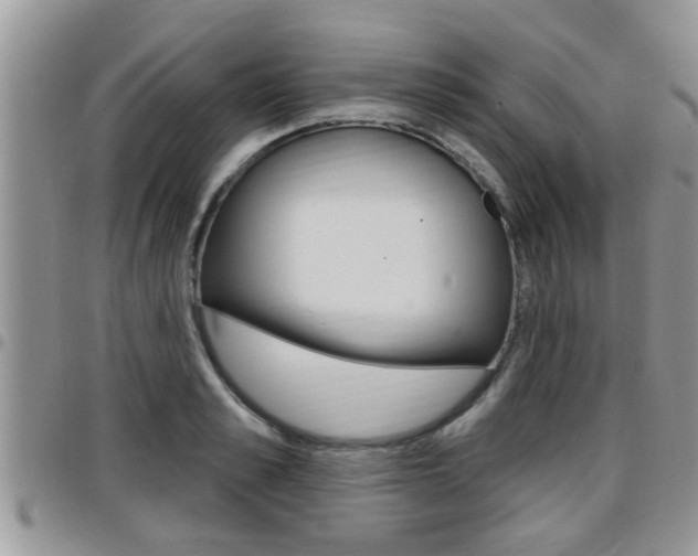 X0000096190989200801181004