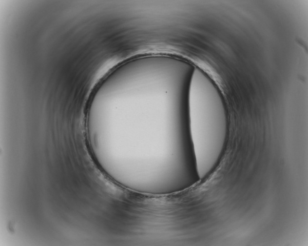X0000096190990200801181004