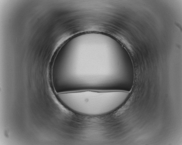 X0000096190991200801181004