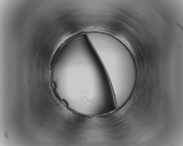 X0000096190992200801181004