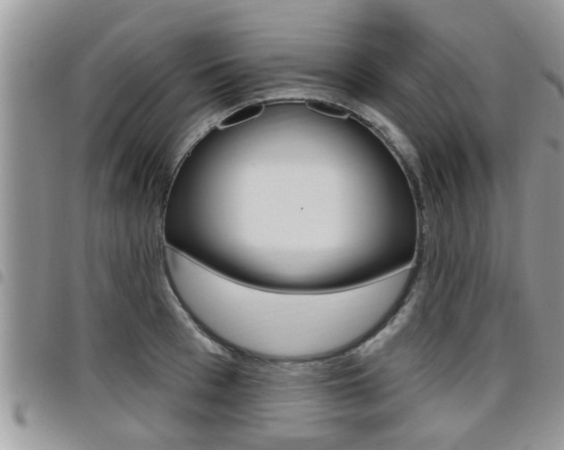 X0000096190993200801181004