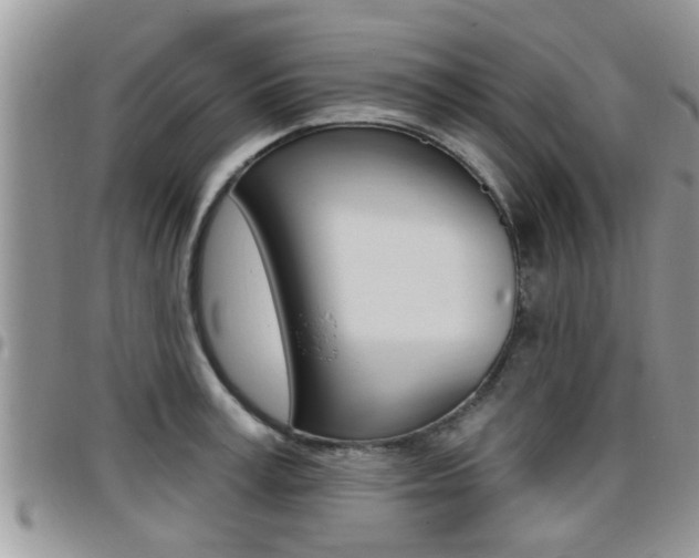 X0000096190995200801181004