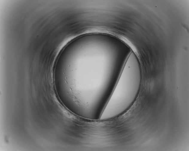 X0000096190996200801181004