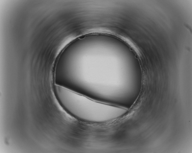 X0000096190999200801181004