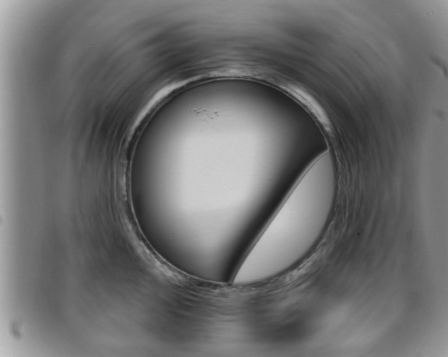X0000096191000200801181004