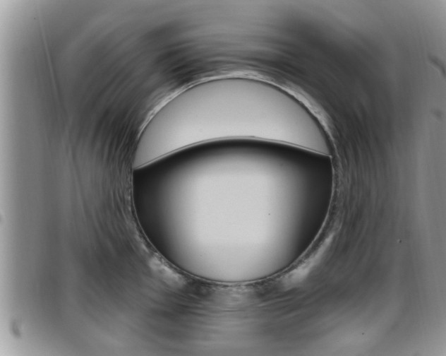 X0000096191001200801181004
