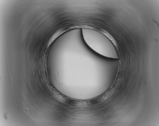 X0000096191002200801181004