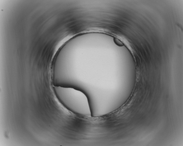 X0000096191003200801181004