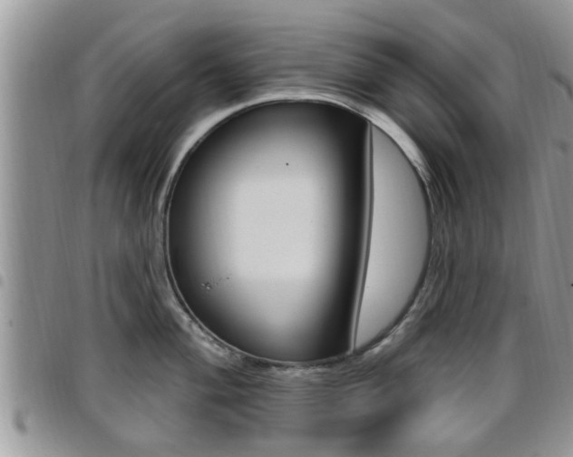 X0000096191004200801181004