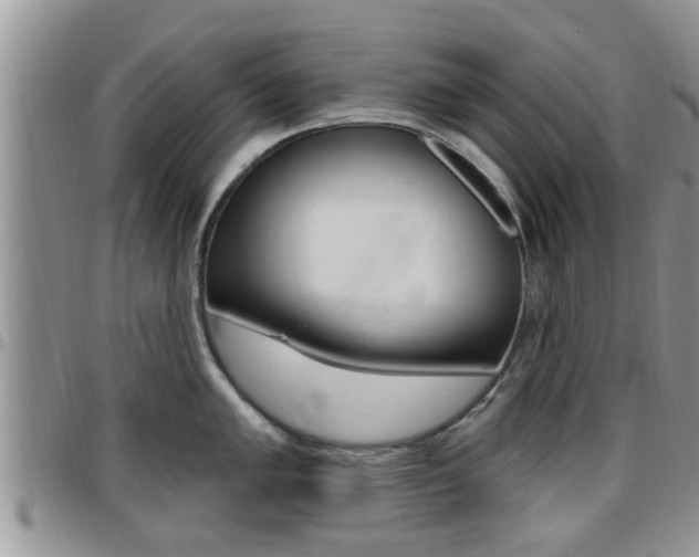 X0000096191005200801181004