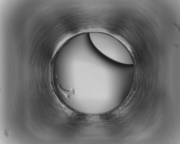 X0000096191006200801181004