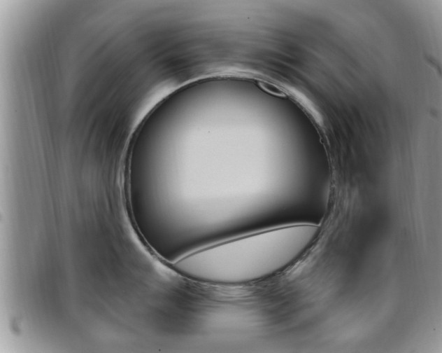 X0000096191007200801181004