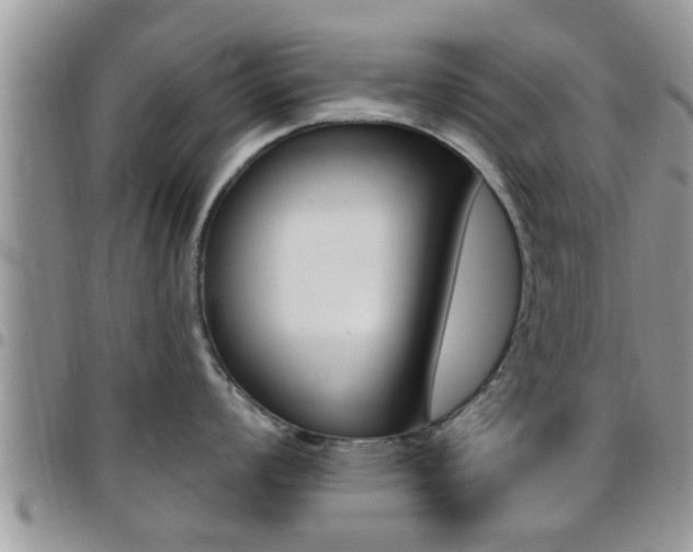 X0000096191008200801181004