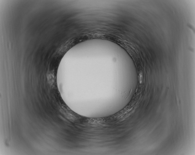 X0000096191011200801181003