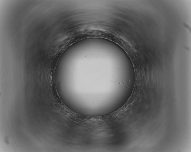 X0000096191013200801181003