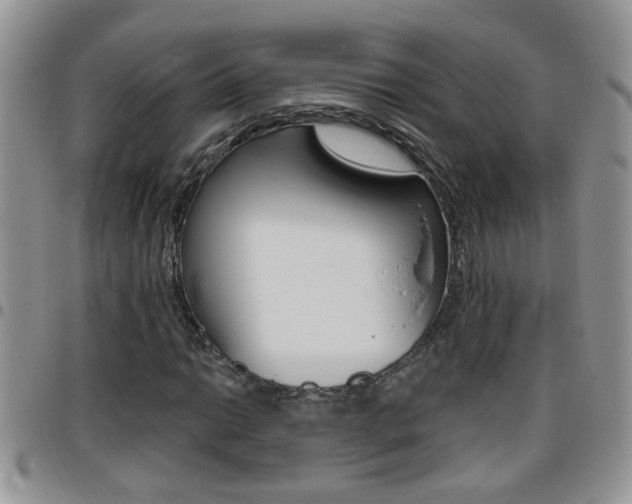 X0000096191014200801181003