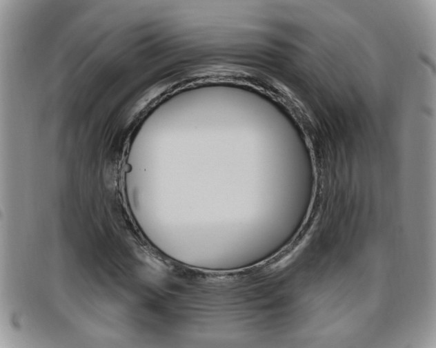 X0000096191017200801181003