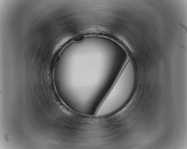 X0000096191018200801181003