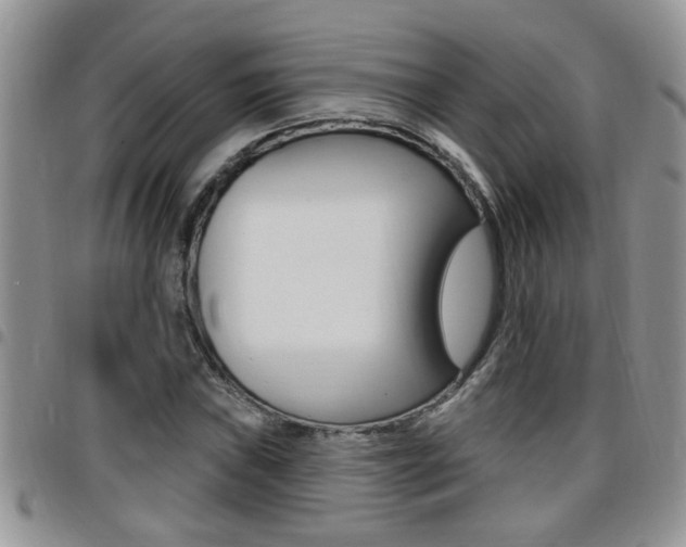 X0000096191019200801181003