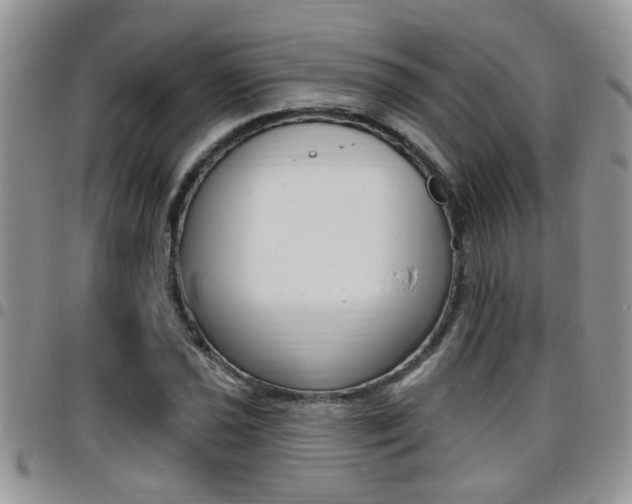X0000096191021200801181003