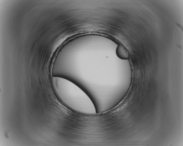 X0000096191023200801181003