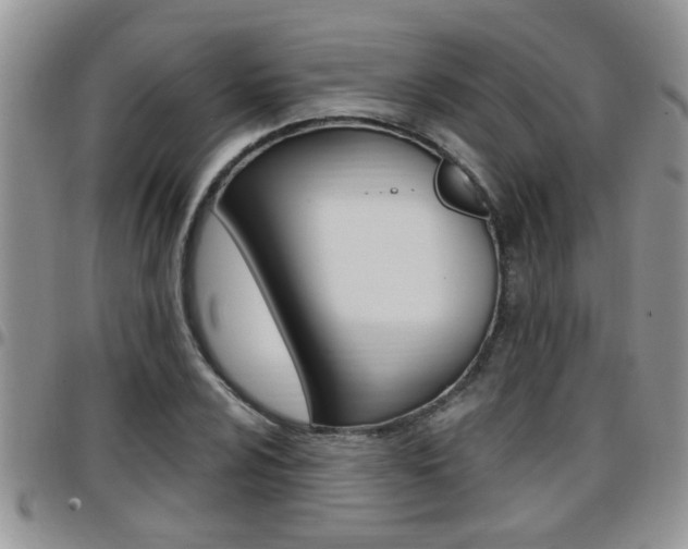X0000096191024200801181003