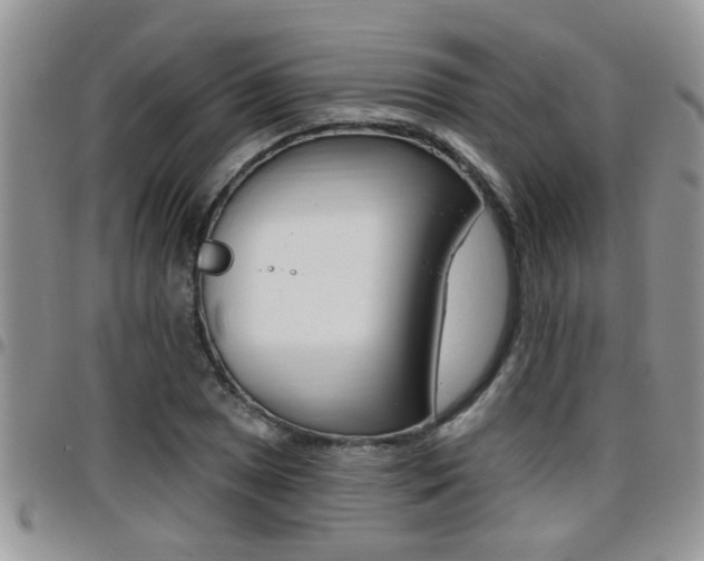 X0000096191025200801181003