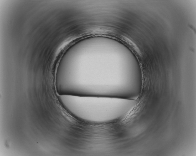 X0000096191027200801181003