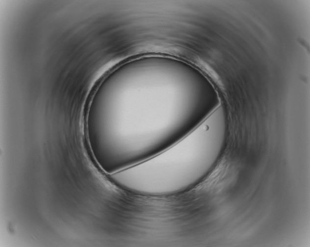 X0000096191028200801181003