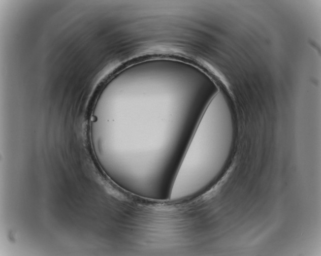 X0000096191029200801181003