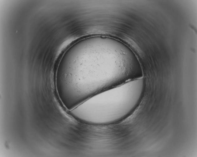 X0000096191030200801181003