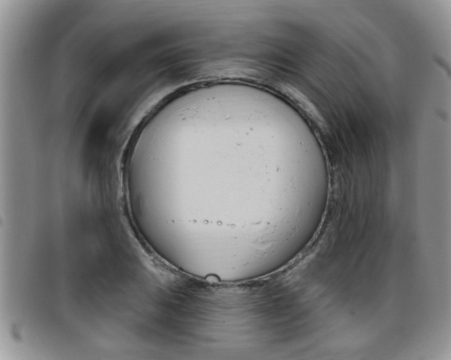 X0000096191031200801181003
