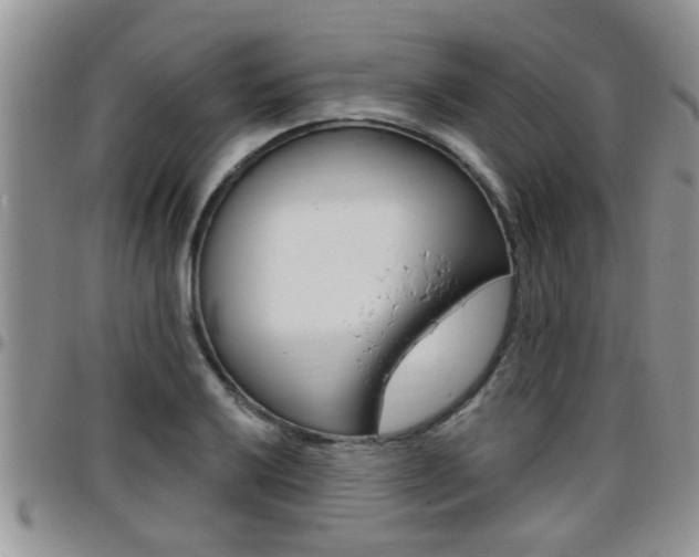 X0000096191032200801181003