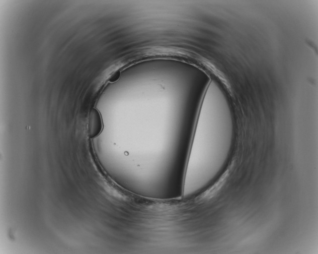 X0000096191033200801181003