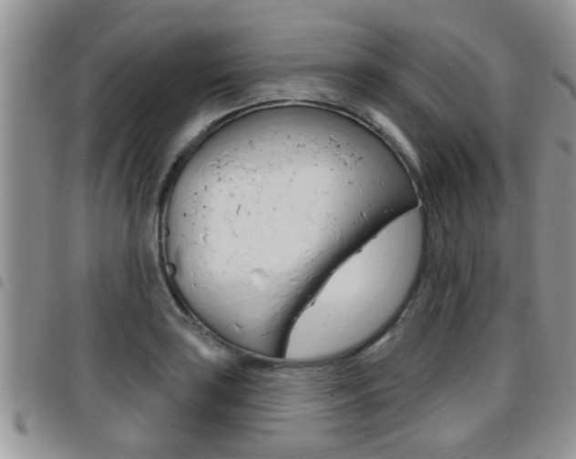 X0000096191035200801181004