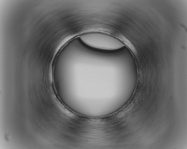 X0000096191036200801181004