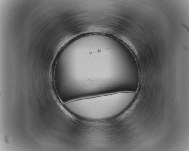X0000096191037200801181004