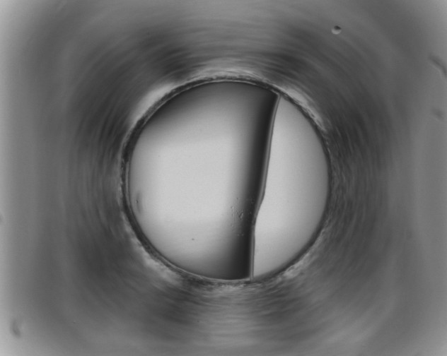 X0000096191038200801181004