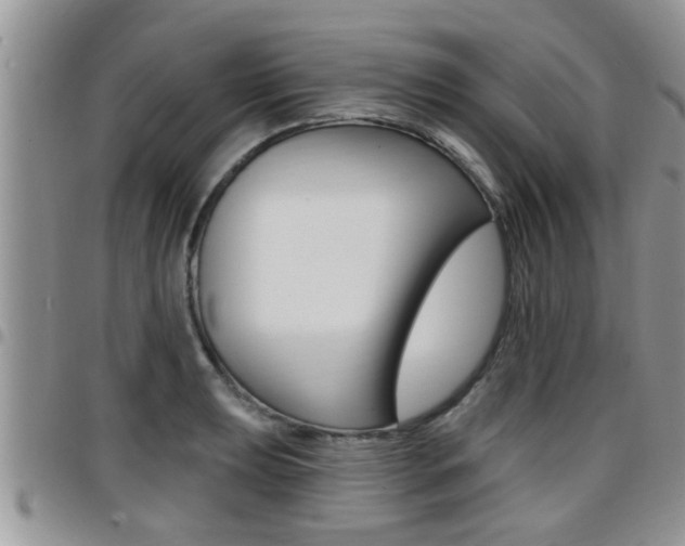 X0000096191039200801181004